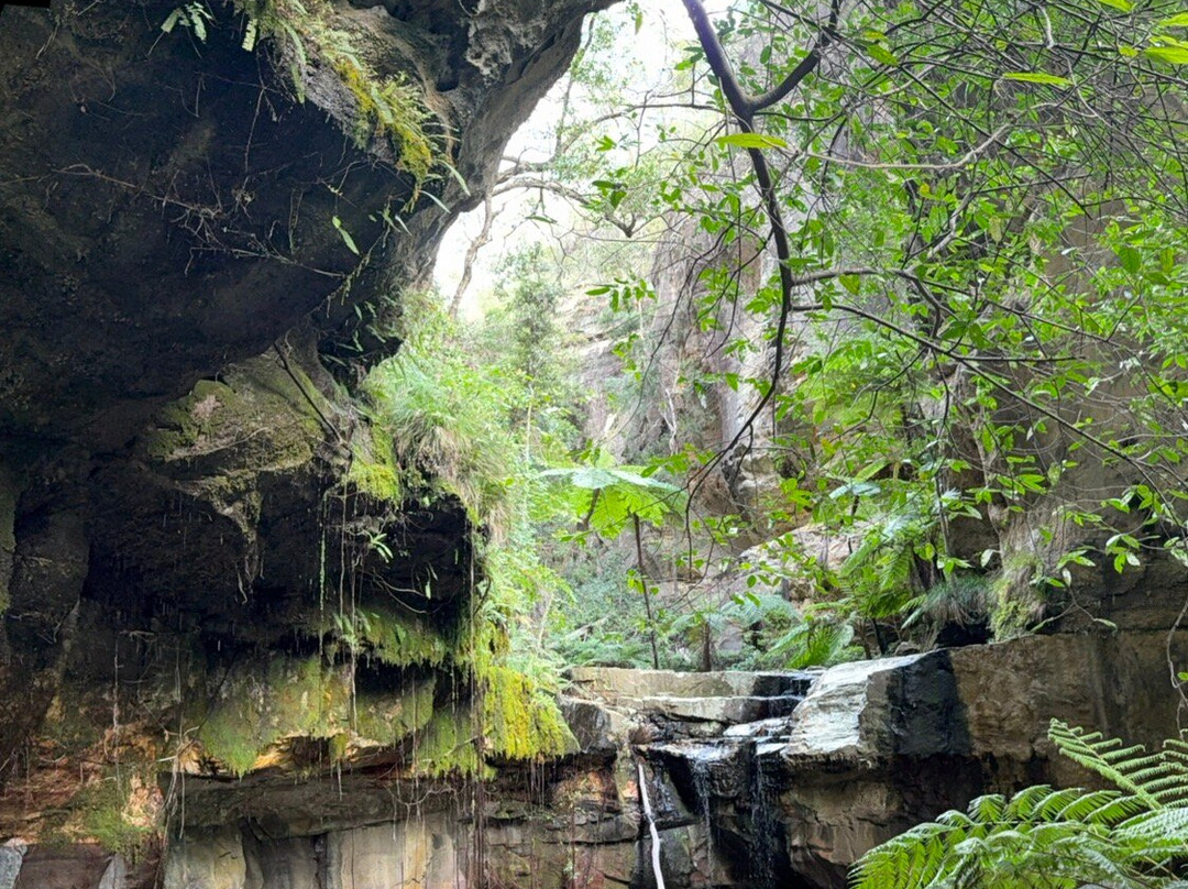 Australian Nature Guides-Carnarvon National Park必去景点