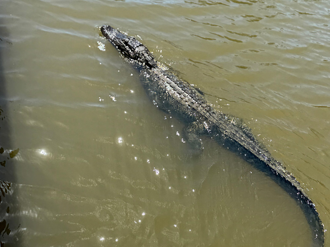 Louisiana Tour Company-Crown Point必去景点