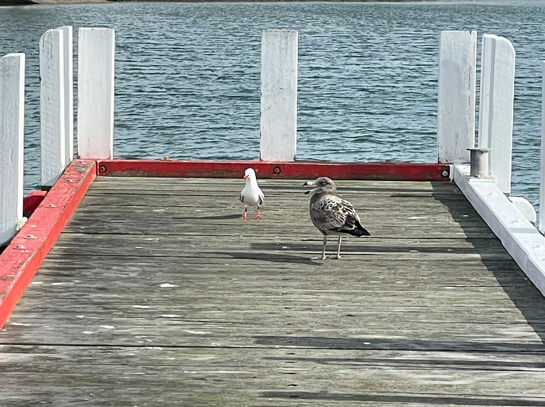 Slip Jetty-Port Albert必去景点
