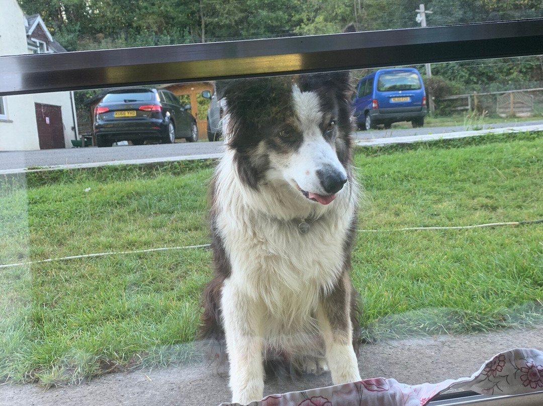 Castle Narrowboats-Gilwern必去景点