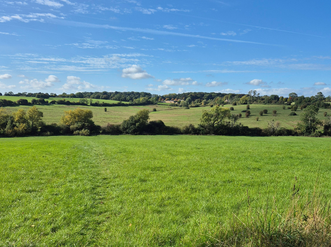 Luxury in the Cotswolds主图