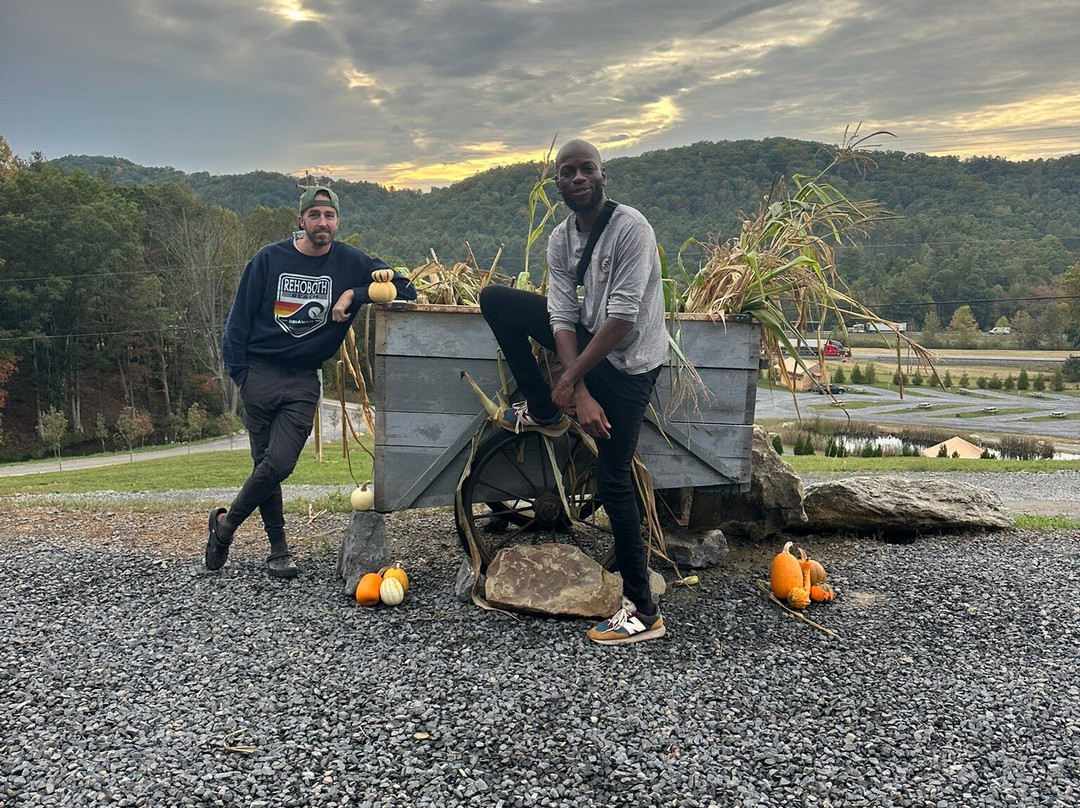 Brush Creek Holl'r Mountain Coaster-普林斯顿必去景点