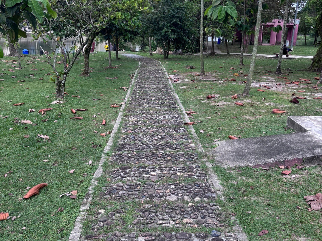 Tasik Taman Jaya-八打灵再也必去景点