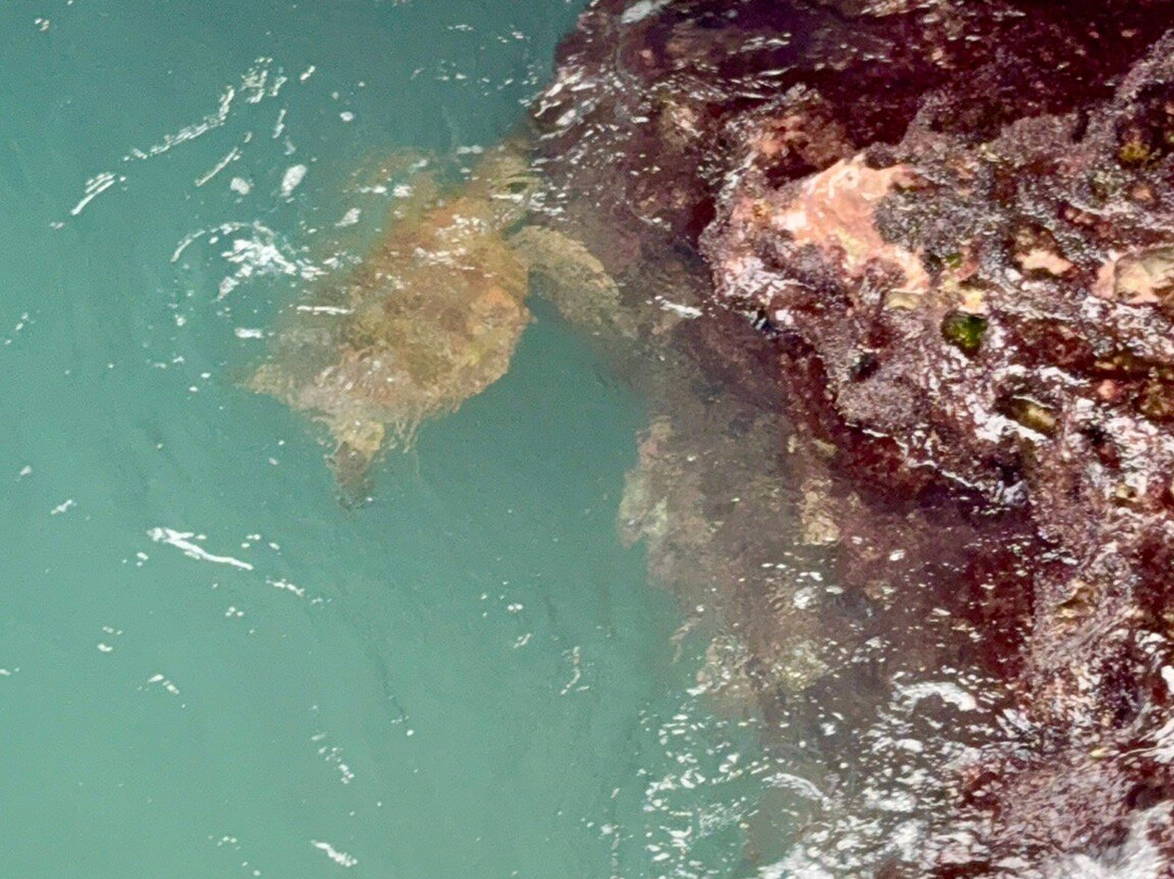 Mermaid Caves-怀厄奈必去景点