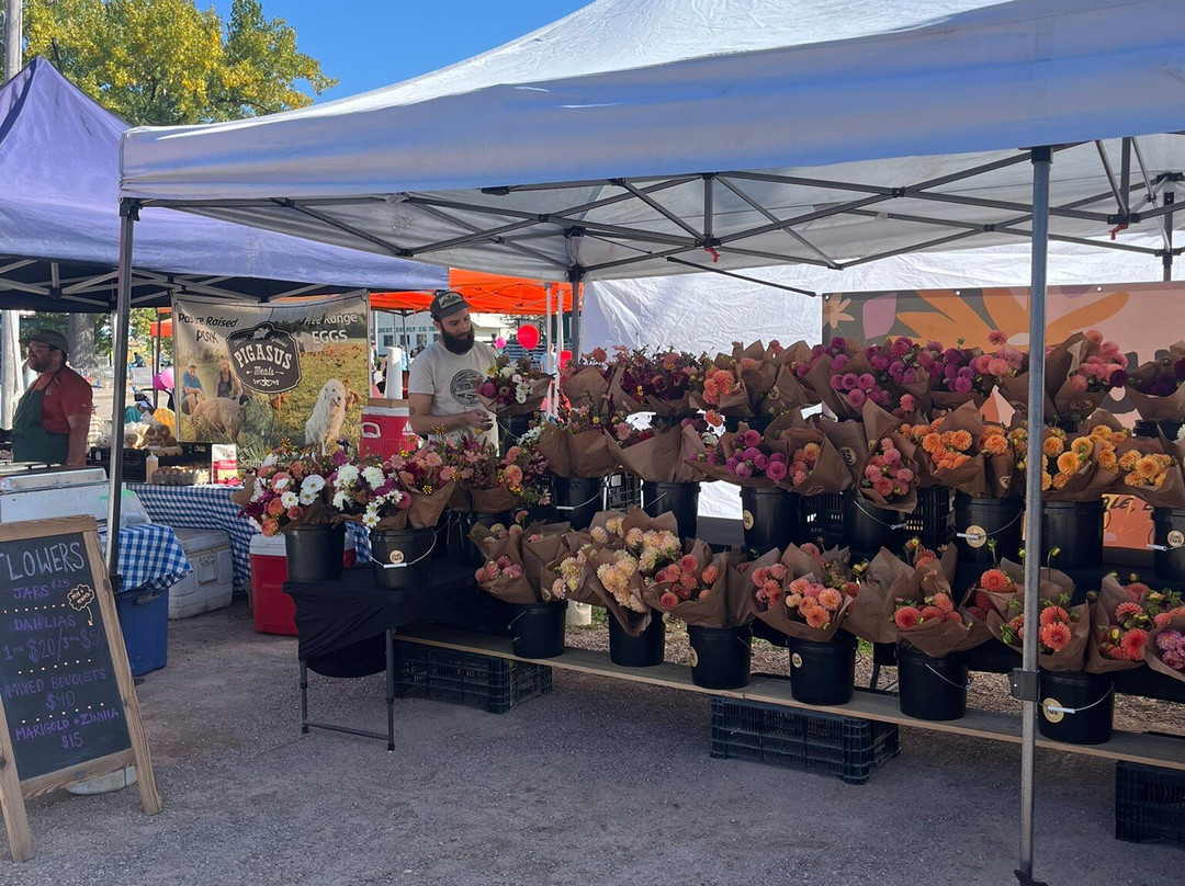 Burlington Farmers Market-伯灵顿必去景点
