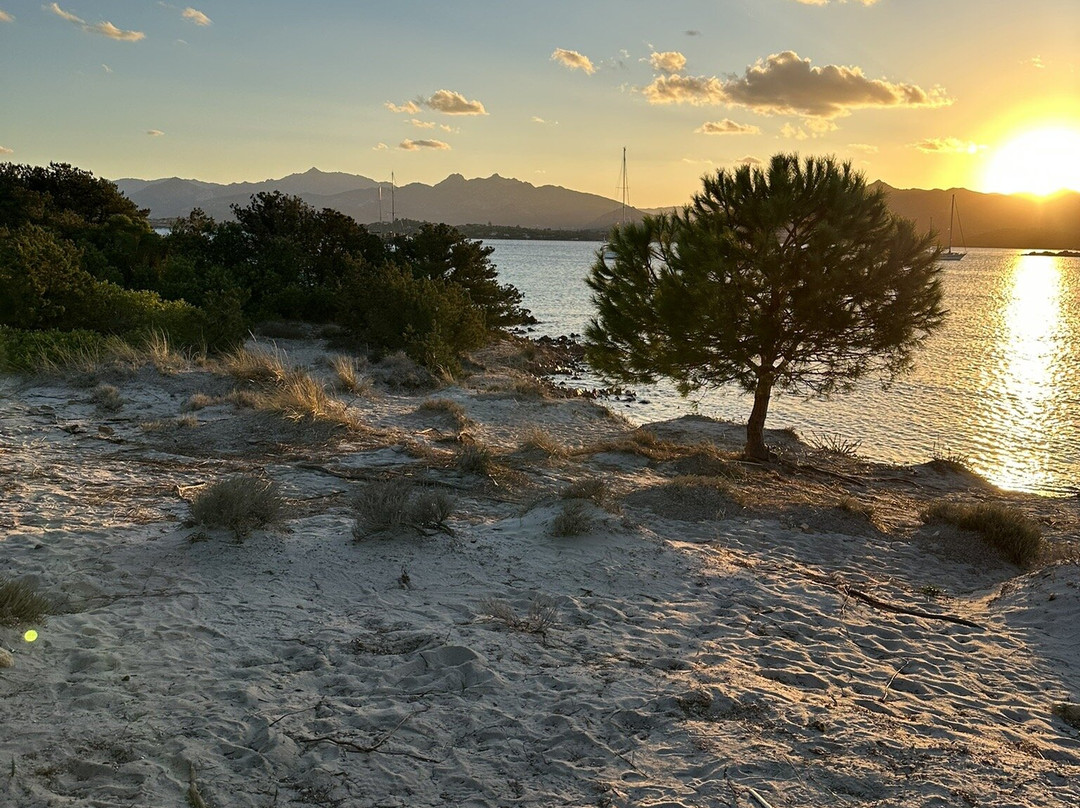 Residence Baia Salinedda主图