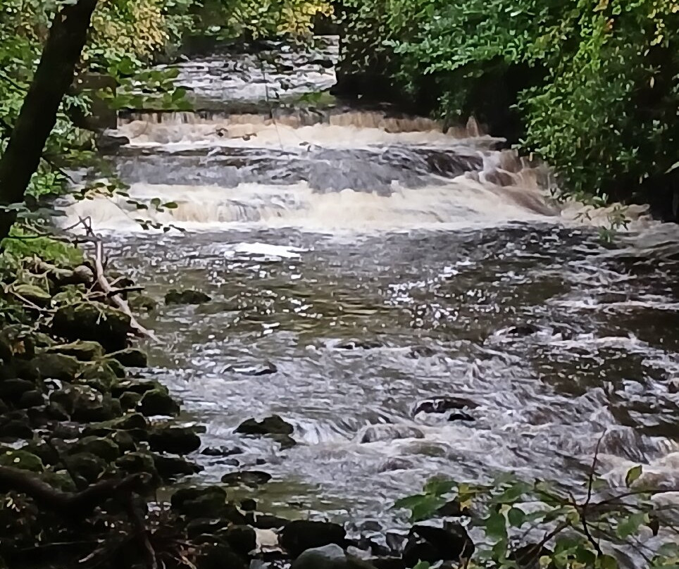 Dean Castle Country Park-Kilmarnock必去景点