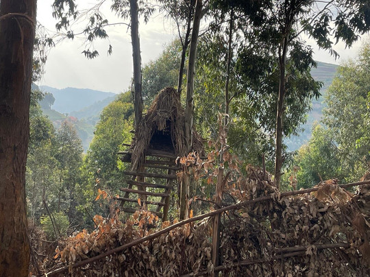 Journeys Uganda-恩德培必去景点