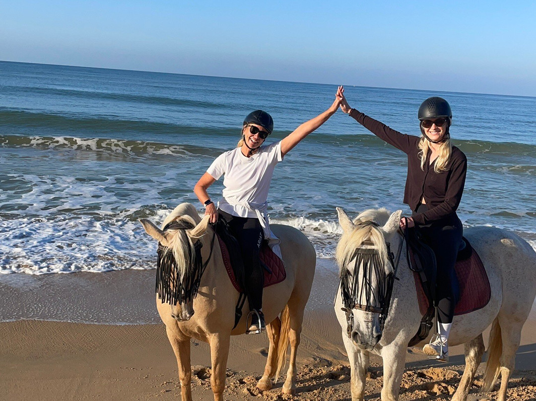 Clube Equestre A Palmeirinha-Almancil必去景点