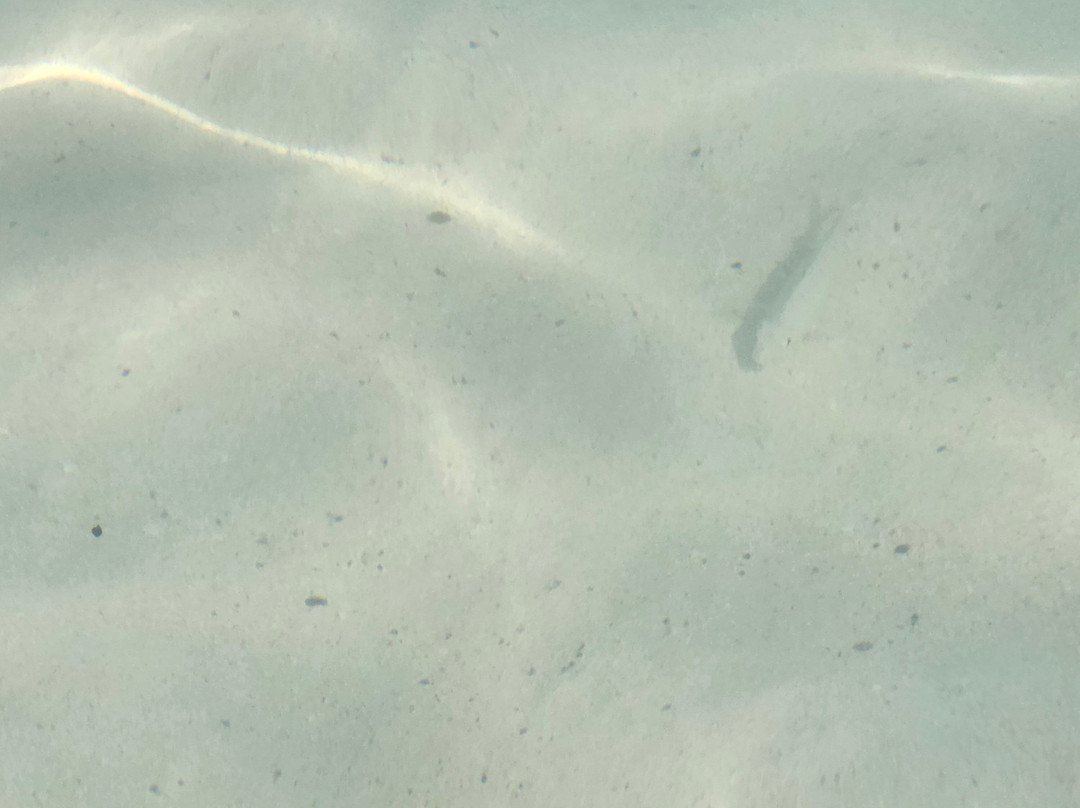 Snorkel Park Beach Club-Somerset Village必去景点