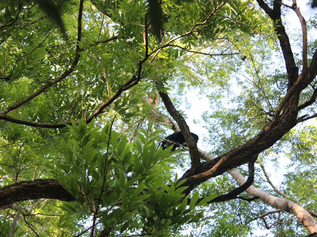 Parque Nacional El Impenetrable-General Guemes必去景点
