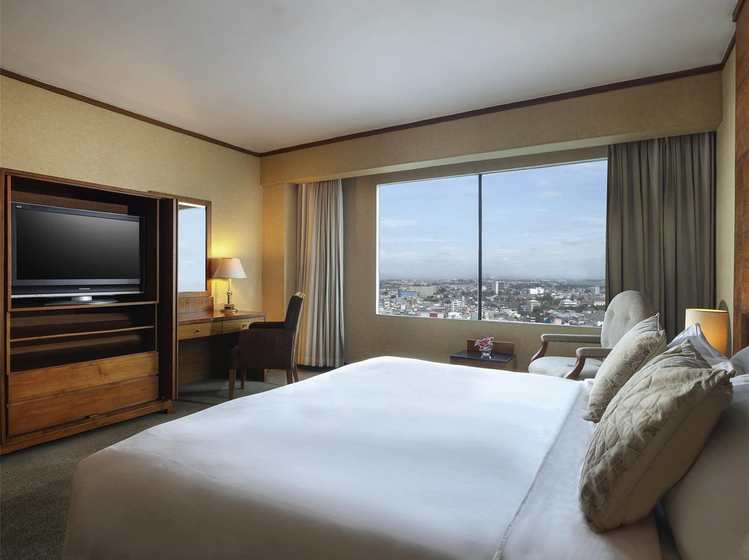 昂嘉萨国际大酒店主图