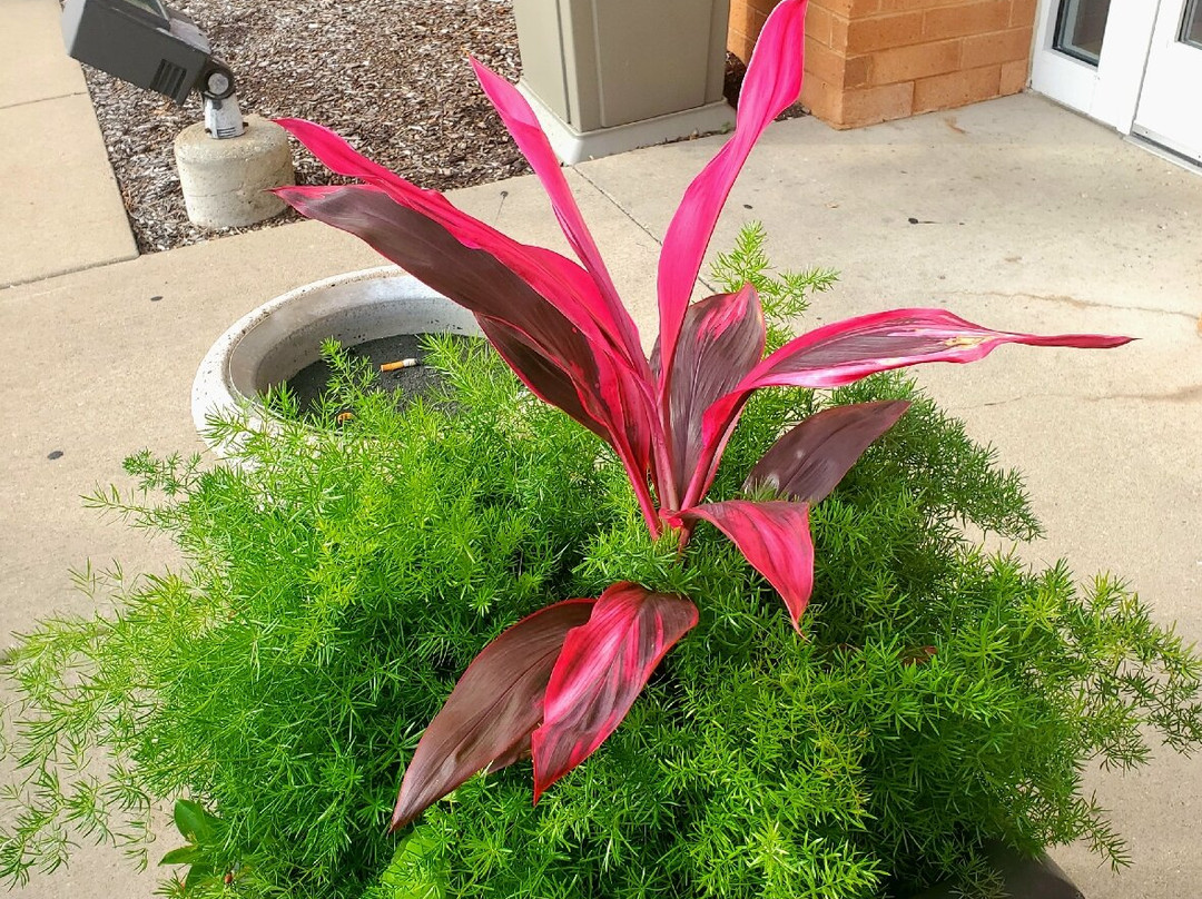 Fairfield by Marriott Inn & Suites Milwaukee Airport主图