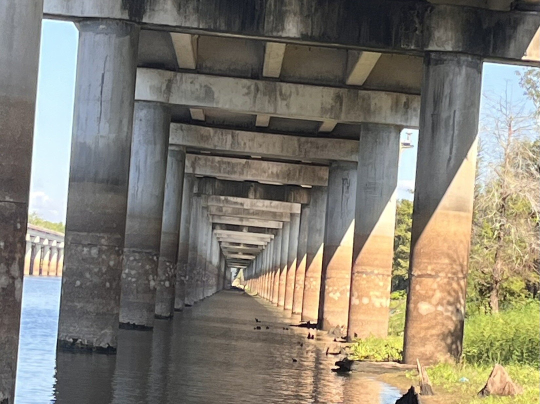 McGee's Louisiana Swamp & Airboat Tours-Henderson必去景点