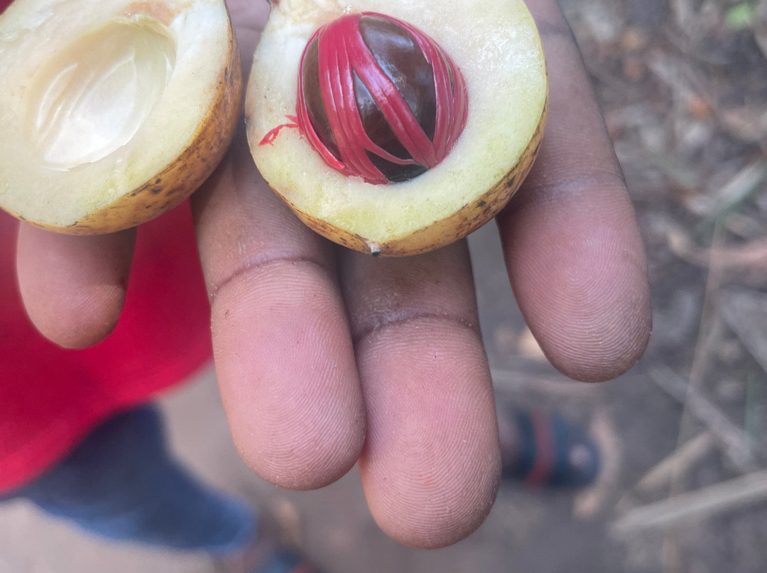 Triple J Zanzibar Tours And Transfers-桑给巴尔市必去景点