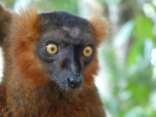 Manja Tours Madagascar-安塔那那利佛必去景点