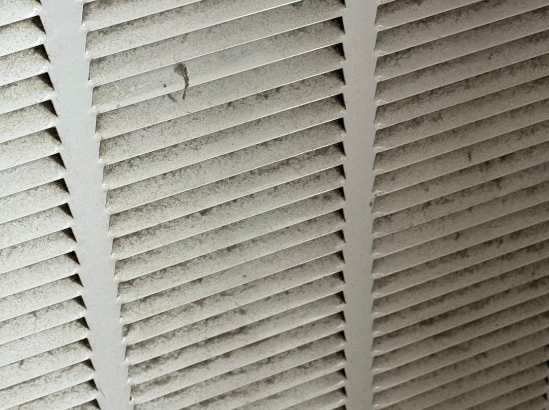 Residence Inn by Marriott Williamsburg主图