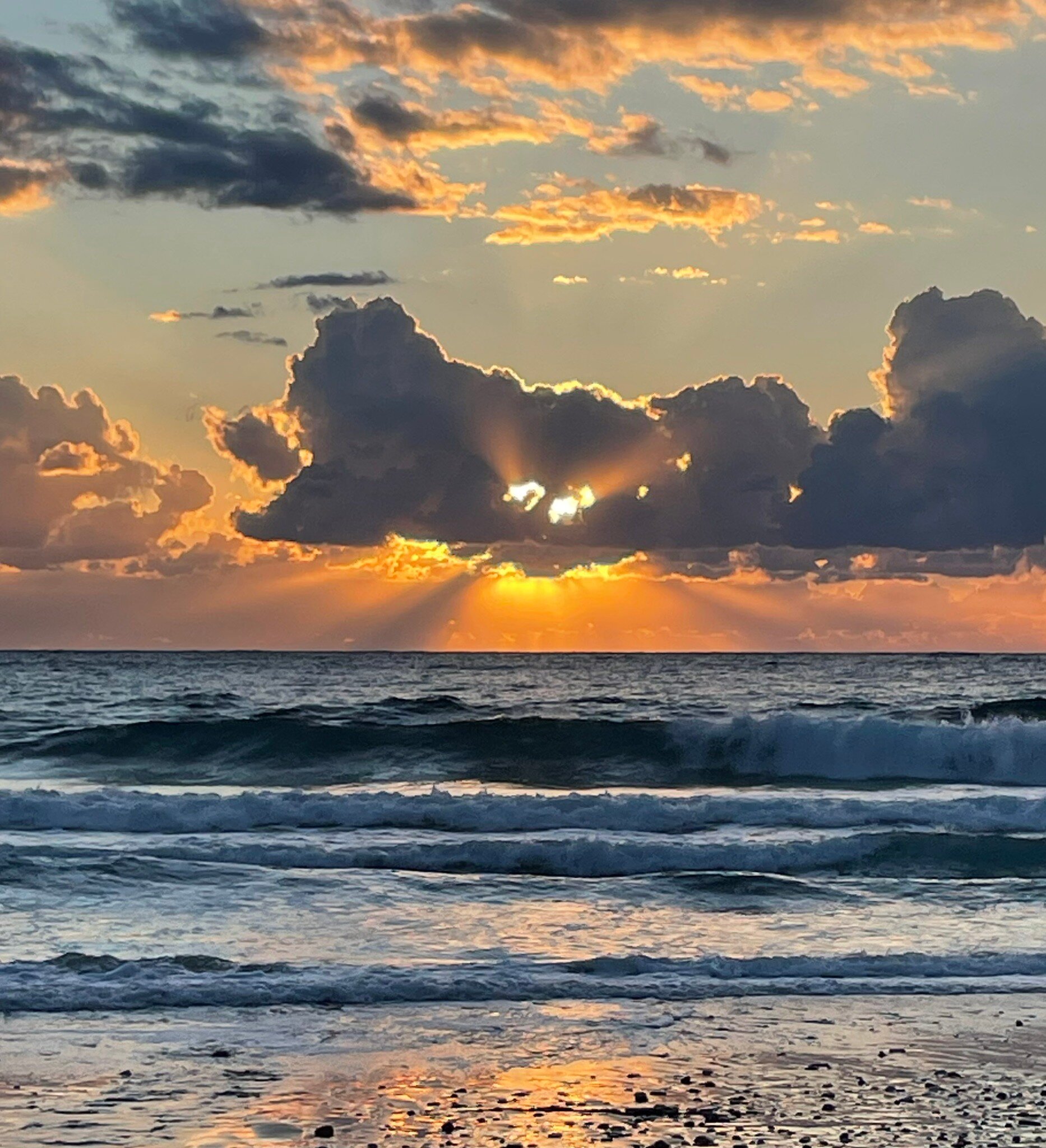 Irene Apartments-官方