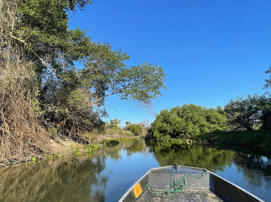 Pantanal Click-米兰达必去景点