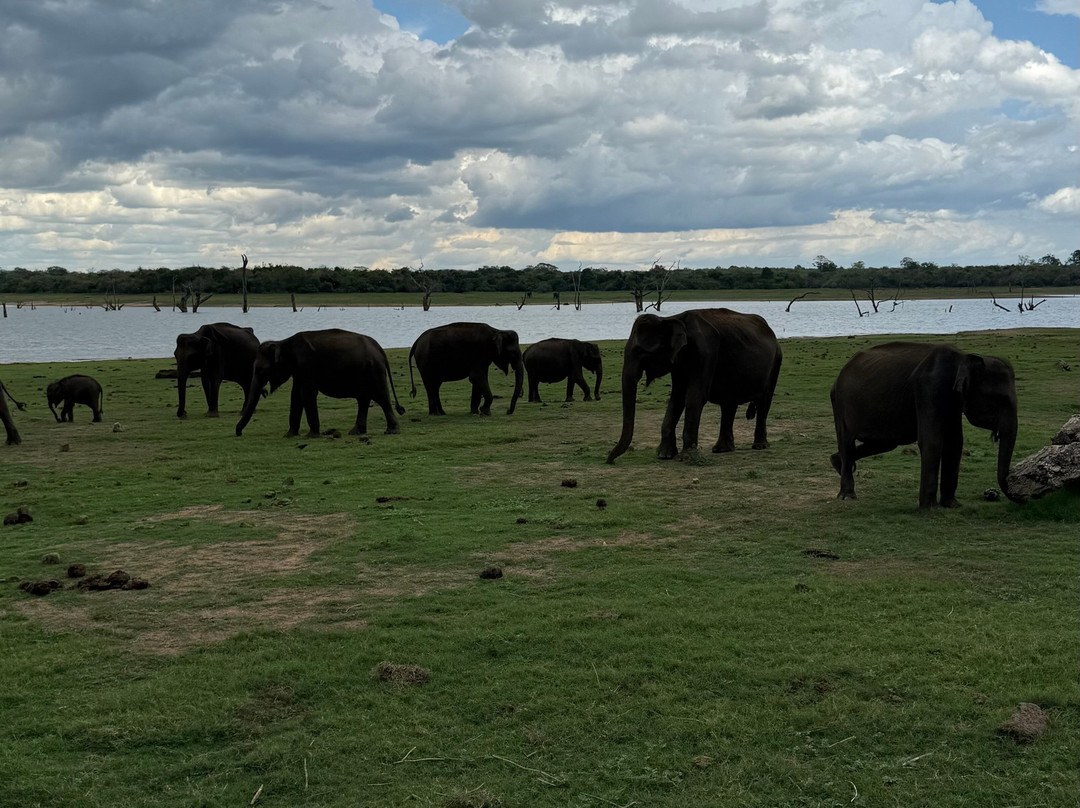 Prasanna Safari Udawalawe-乌达瓦拉维国家公园必去景点