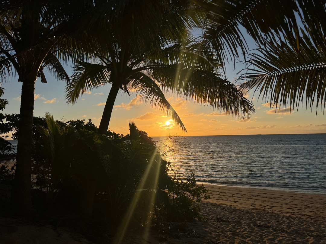 Majestic Whale Encounters-Foa Island必去景点