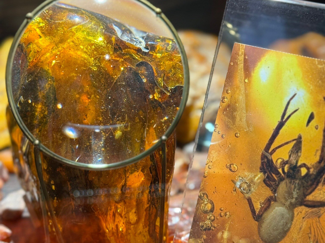 波罗的海首饰加工场-Ribnitz-Damgarten必去景点