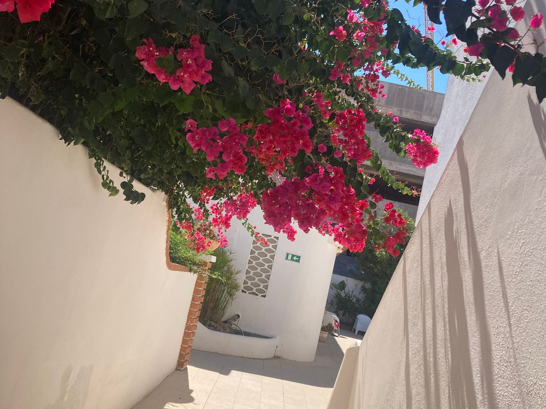 Sollagos Apartamentos Turisticos主图