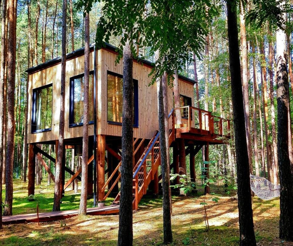 Tree Houses Olszanka