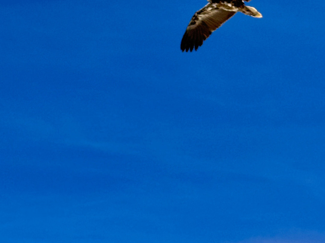 Embrace Socotra-Hadiboh必去景点