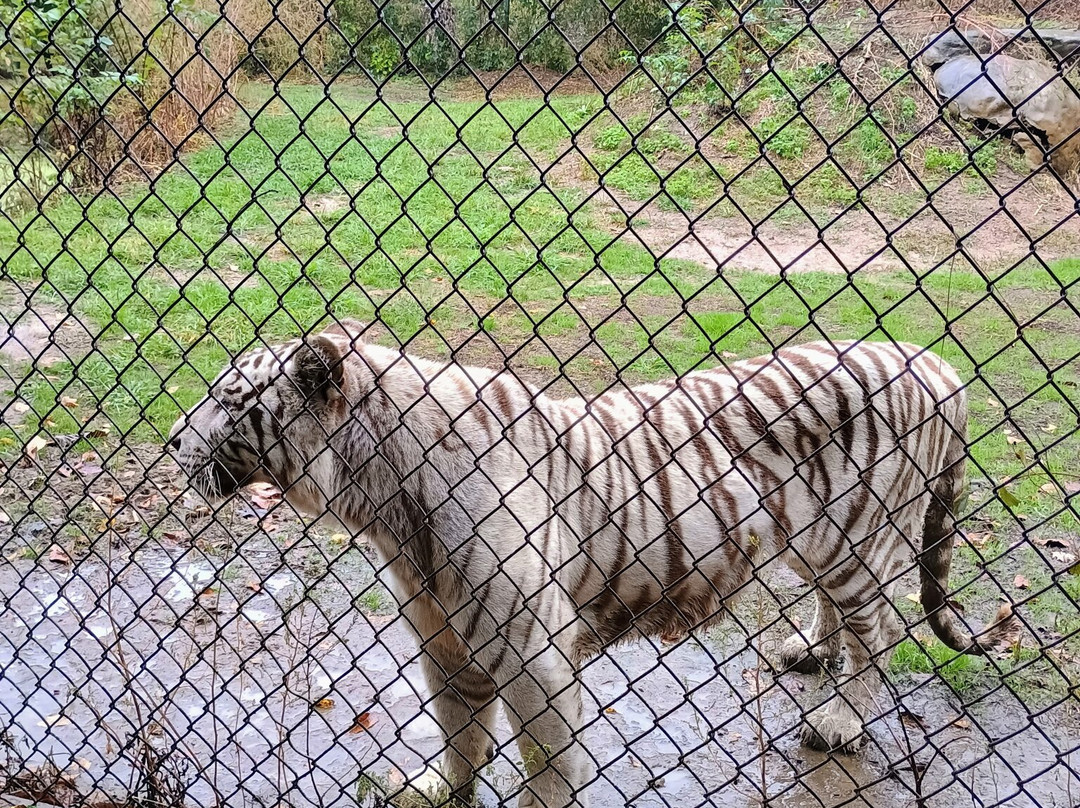 Safari Zoological Park-Caney必去景点