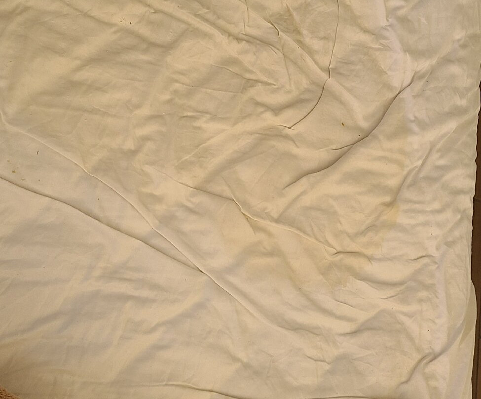 圣贝纳迪诺/雷德兰兹戴斯酒店主图