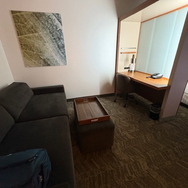 SpringHill Suites by Marriott Tallahassee Central-客卧