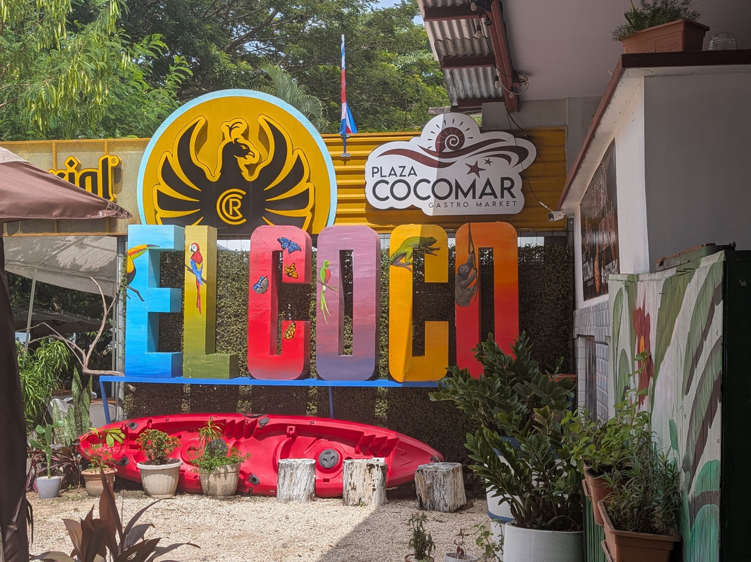 Alex On The Beach Tours-萨迪纳尔必去景点