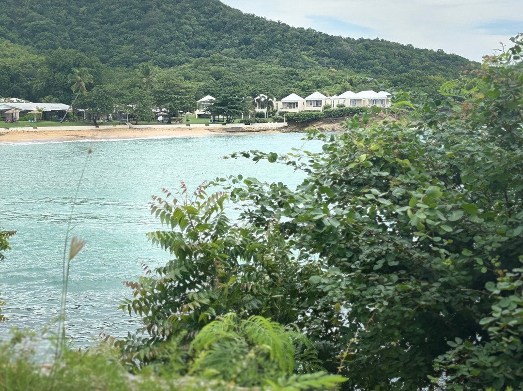 Hawksbill Bay-安提瓜必去景点
