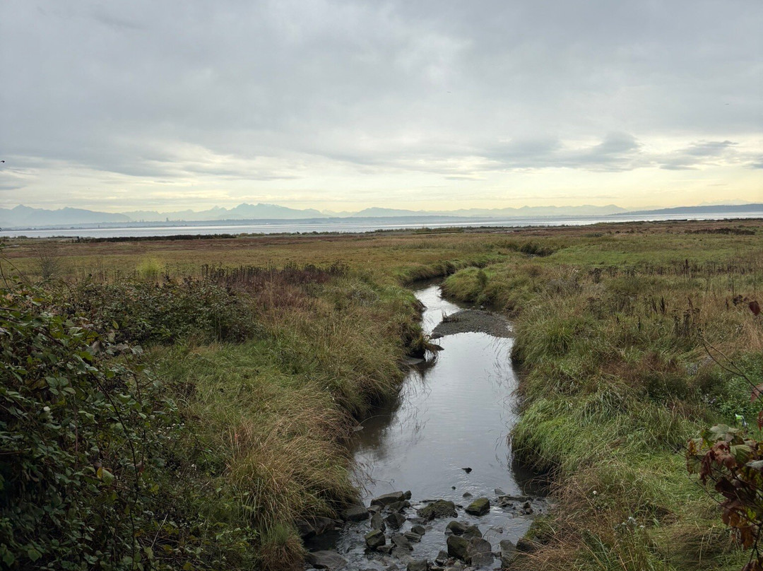 Boundary Bay Regional Park-Delta必去景点
