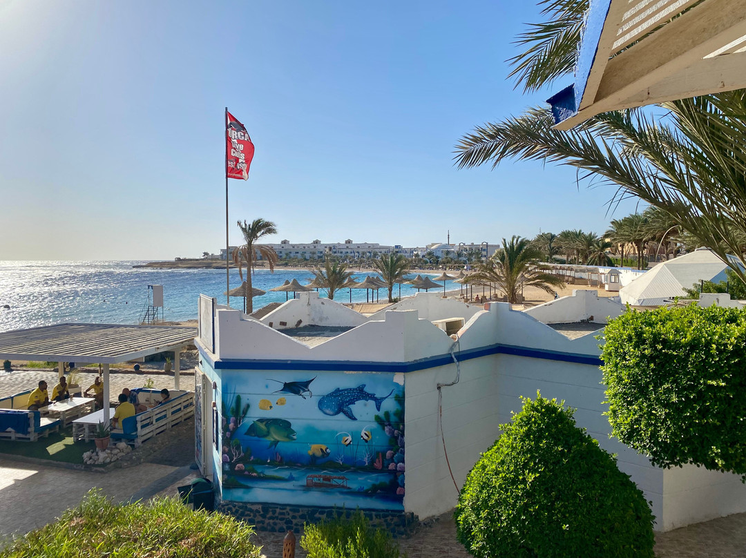 ORCA Dive Club Coral Garden-Safaga必去景点