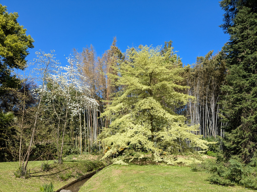 La Bambouseraie En Cévennes-Generargues必去景点