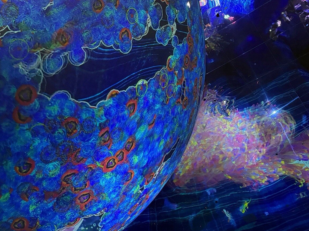 teamLab Phenomena Abu Dhabi-阿布扎比必去景点