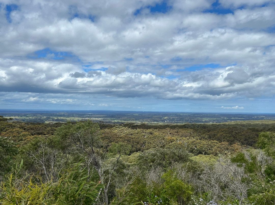 Ecoadventures Margaret River-Boranup必去景点