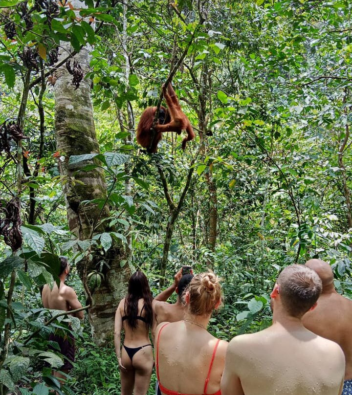 Trekking Bukit Lawang-武吉拉旺必去景点