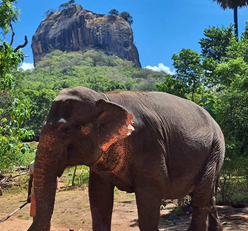 Lion Rock-锡吉里亚必去景点