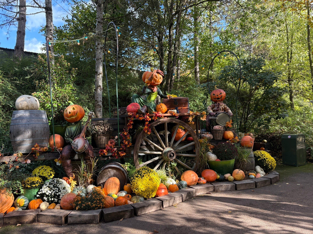 尼格罗主题游乐园-Dolancourt必去景点
