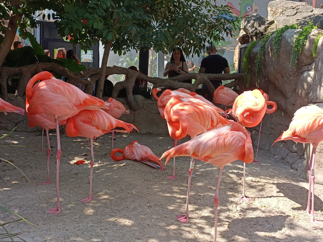 Acuario Michin Guadalajara-瓜达拉哈拉必去景点