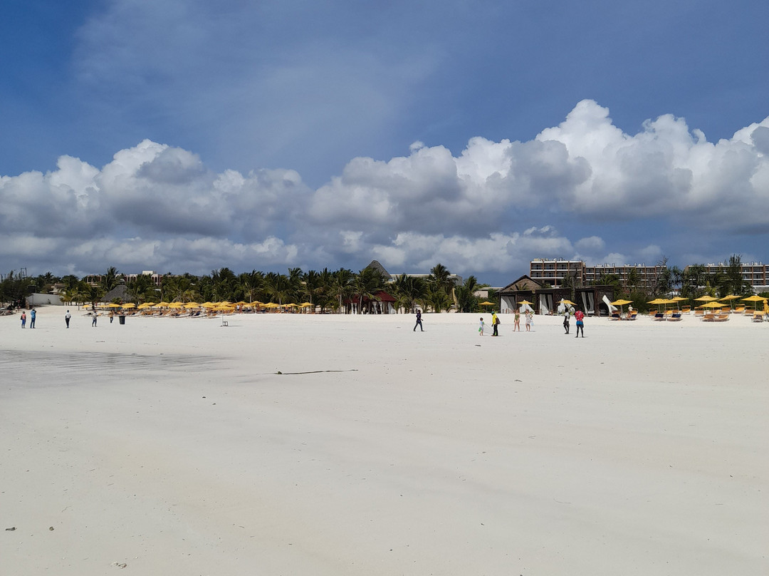 Eagle Ray Divers-Matemwe必去景点