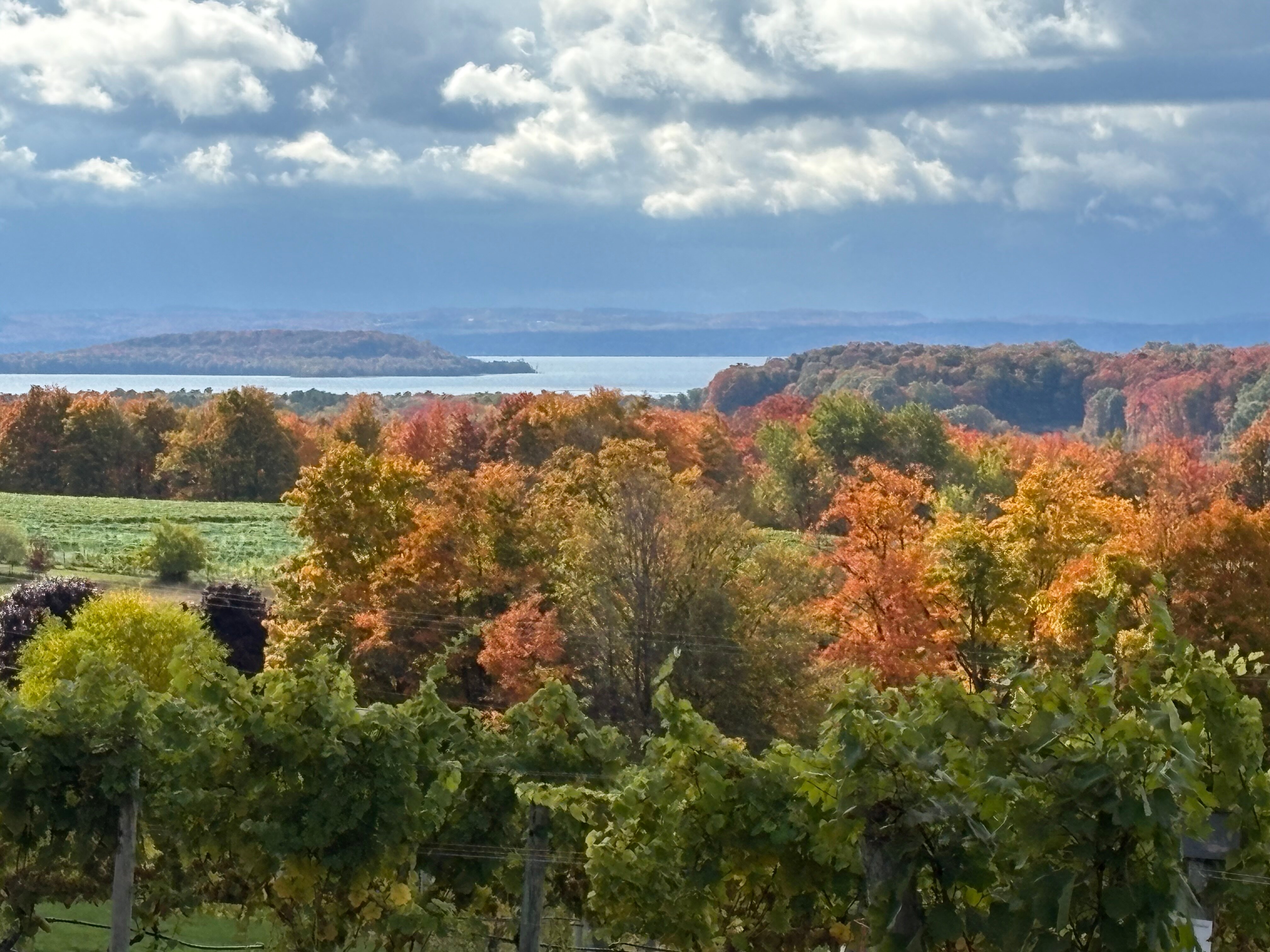 Chateau Chantal Winery and Inn-官方