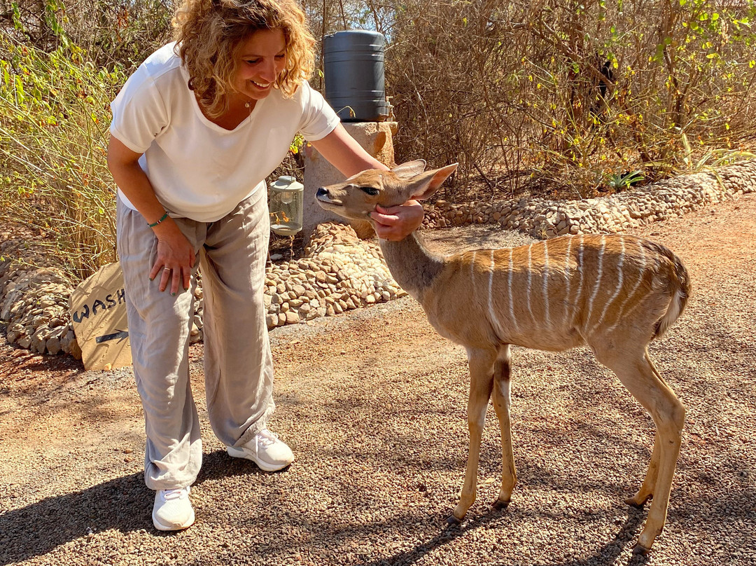 Routes for good-Samburu District必去景点