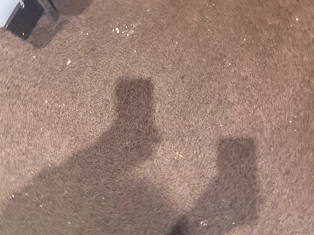 The House Lounge by Aspire, Sydney-悉尼必去景点