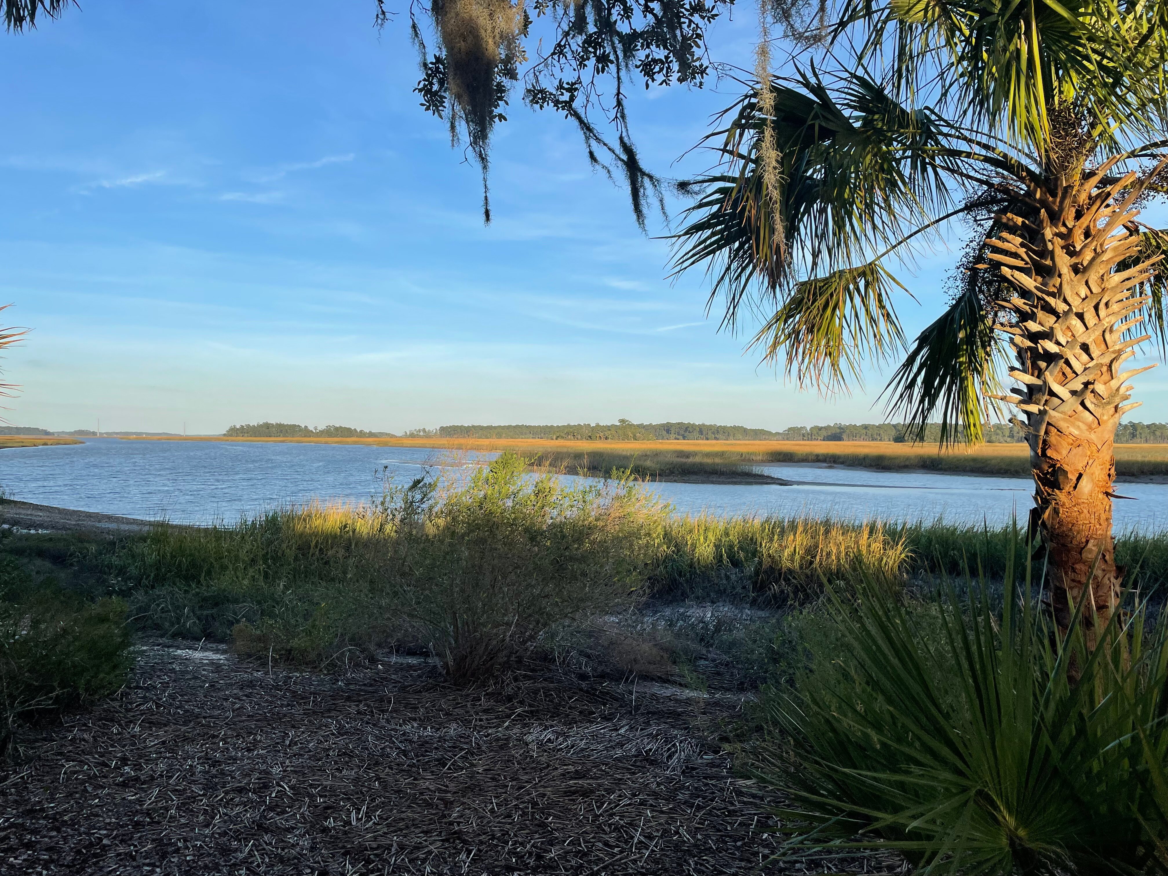 帕尔梅托布鲁富顿酒店-官方