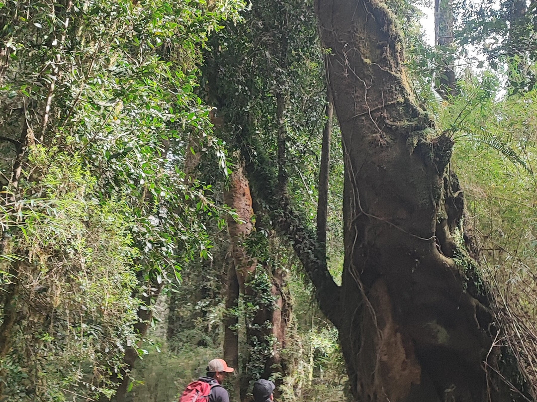 Cahuil Adventure-Llanquihue必去景点