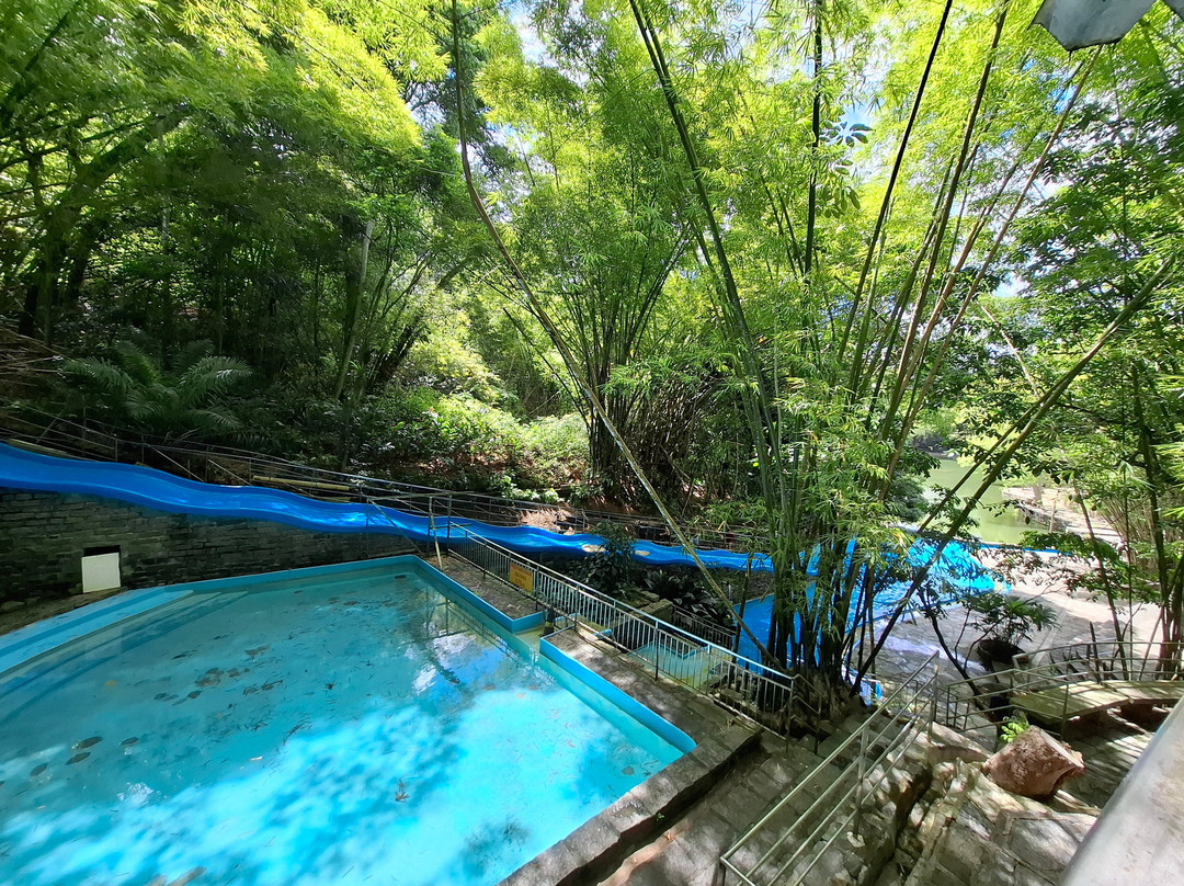 Águas Finas-Camaragibe必去景点